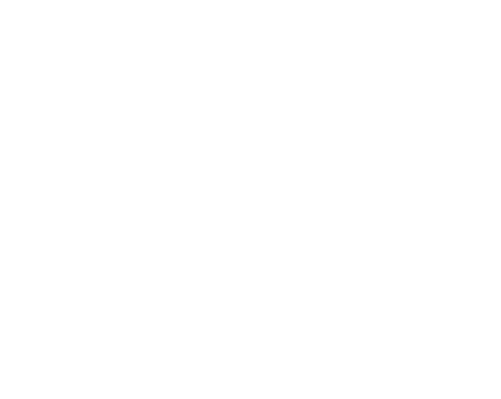 Platinum-Logo